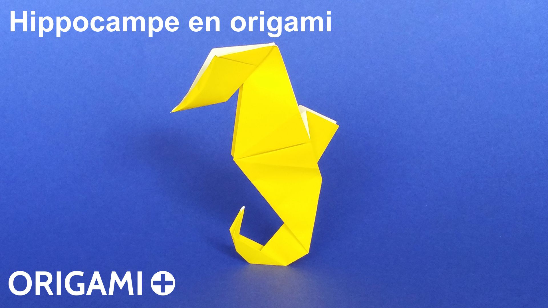 Hippocampe En Origami