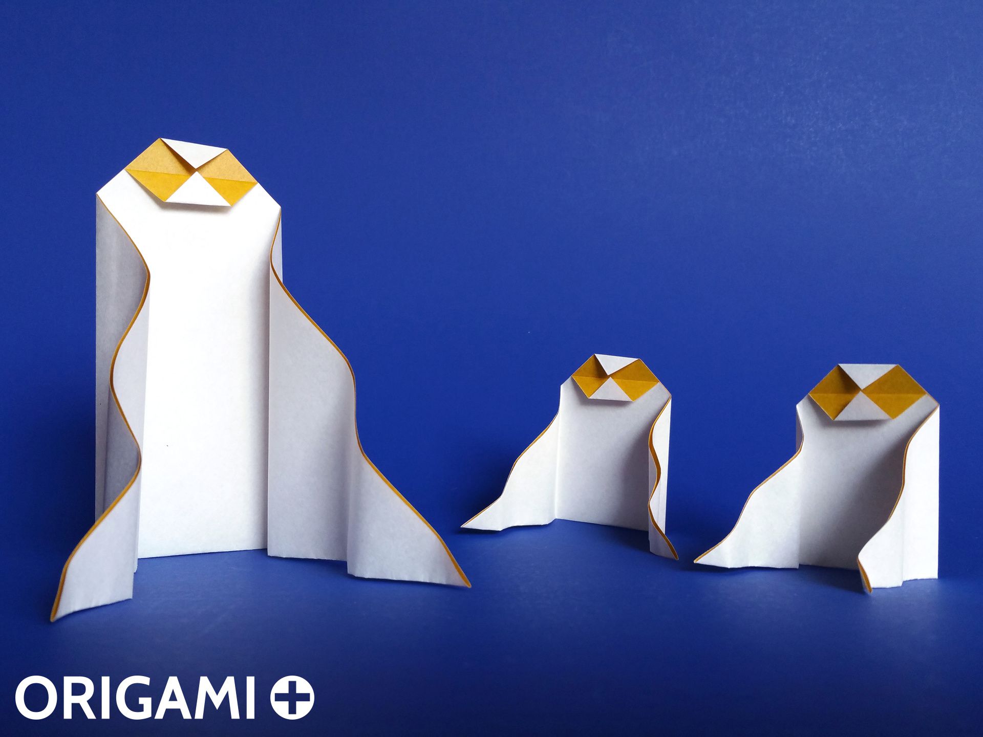 Libro Origami per Halloween: 10 origami creativi e divertenti, adatti a  tutti: anche ai bambini o ai princ De Stéphane Gigandet - Buscalibre